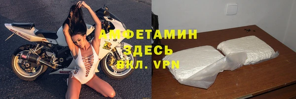 стаф Заводоуковск