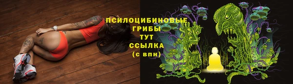 ГАЛЛЮЦИНОГЕННЫЕ ГРИБЫ Заволжье