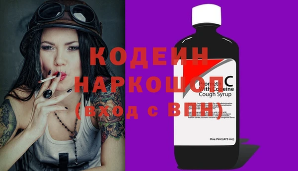 ГАЛЛЮЦИНОГЕННЫЕ ГРИБЫ Заволжье