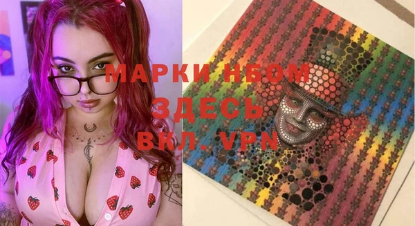 стаф Заводоуковск