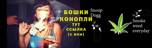 ГАЛЛЮЦИНОГЕННЫЕ ГРИБЫ Заволжье