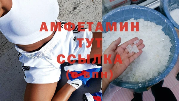 ГАЛЛЮЦИНОГЕННЫЕ ГРИБЫ Заволжье