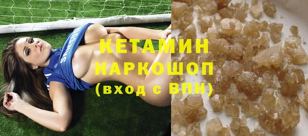 стаф Заводоуковск