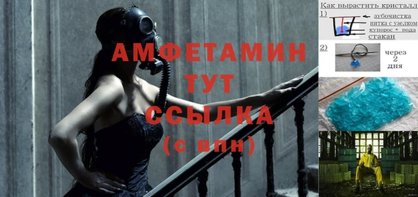 стаф Заводоуковск