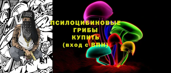 ГАЛЛЮЦИНОГЕННЫЕ ГРИБЫ Заволжье