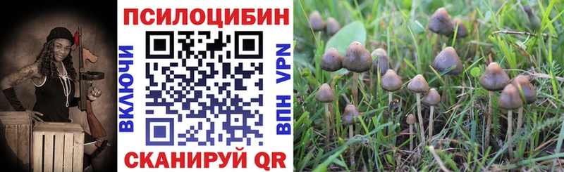 Купить закладки  Удачный  Псилоцибиновые грибы Magic Shrooms 